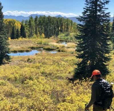 An angler walks through an autumn meadow on the Thompson Divide in search of wild trout.