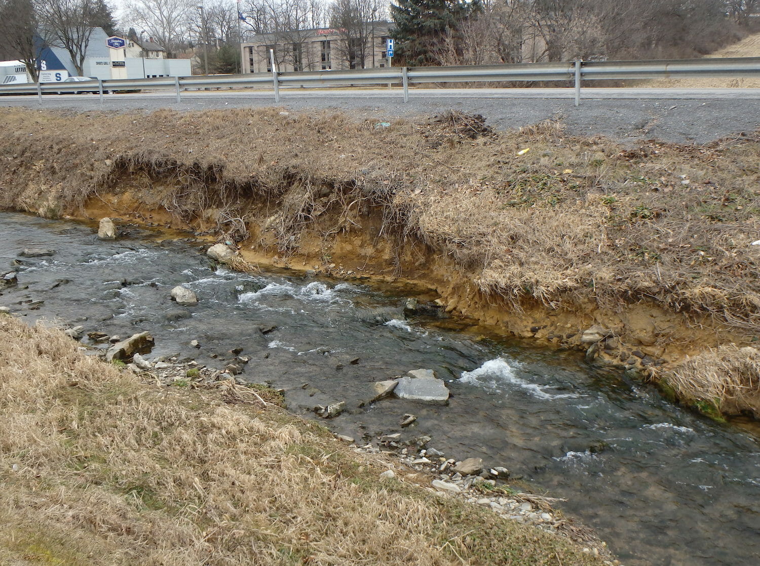 Team Effort Goes Into Thompson Run Restoration In Pa Trout