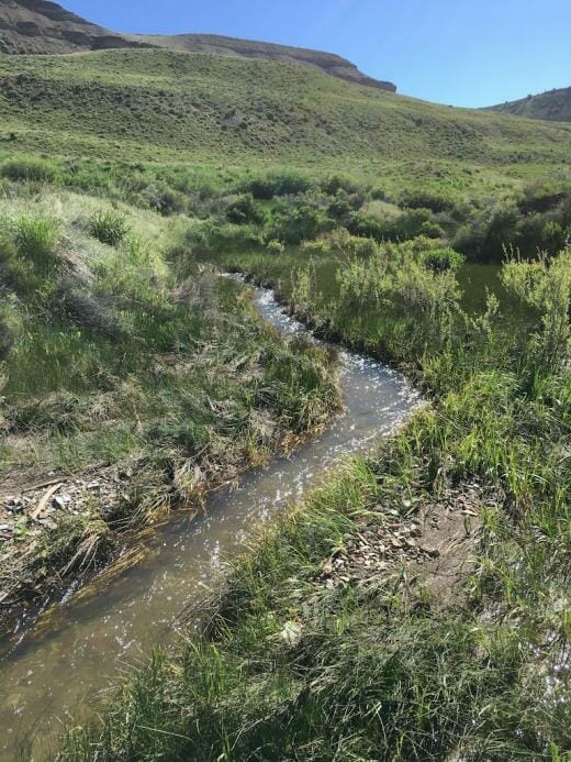 small stream on Greater Little Mountain Area