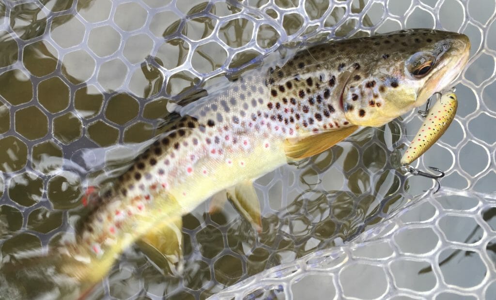 TU Tested: Six Items Every Floating Angler Should Consider - Trout Unlimited