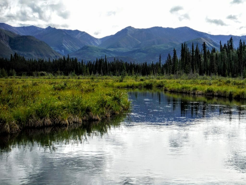 A deep, slow creek flows through the wilds of eastern Alaska.
