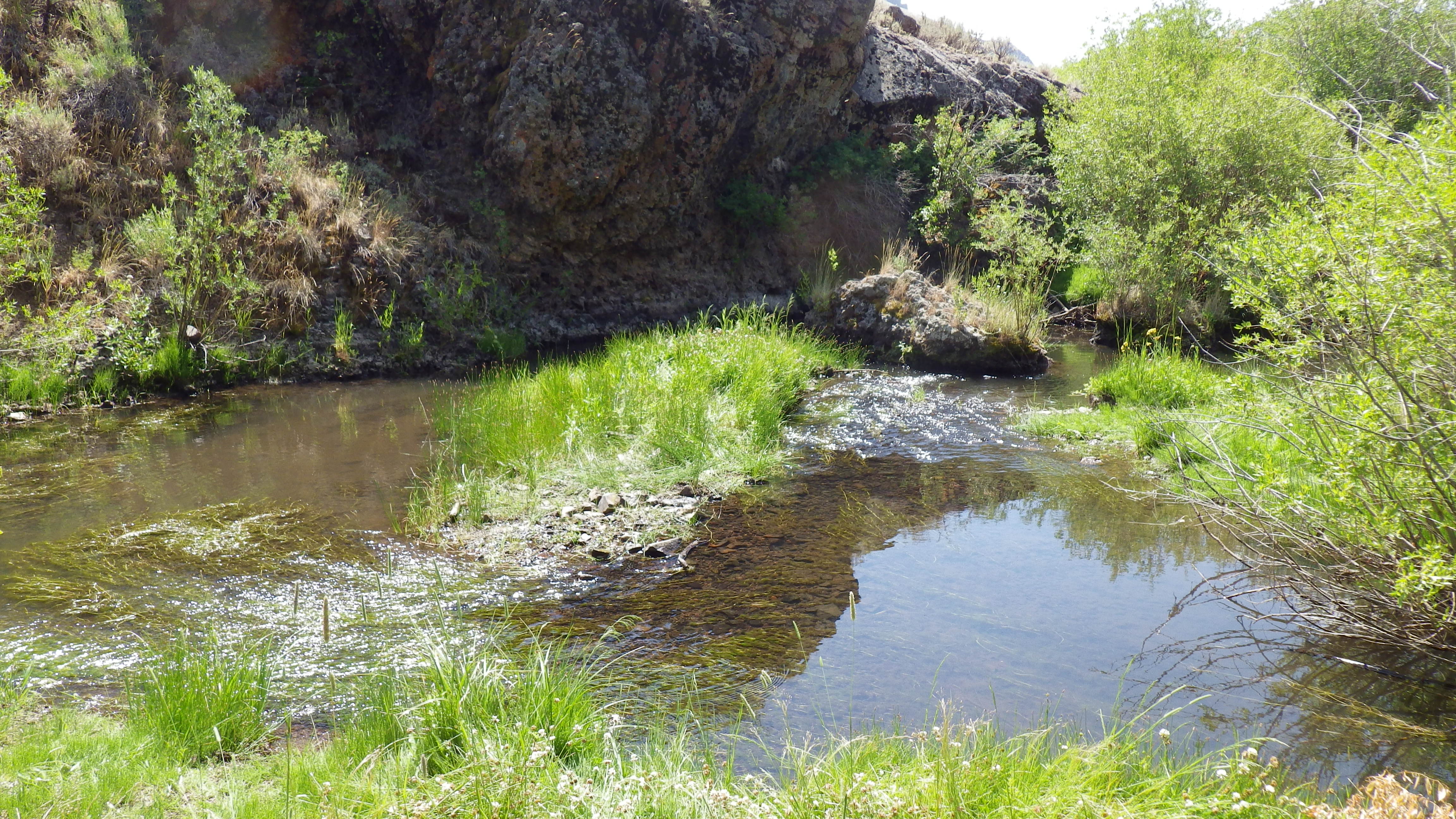 Goose Creek, Sawtooth National Forest, Idaho