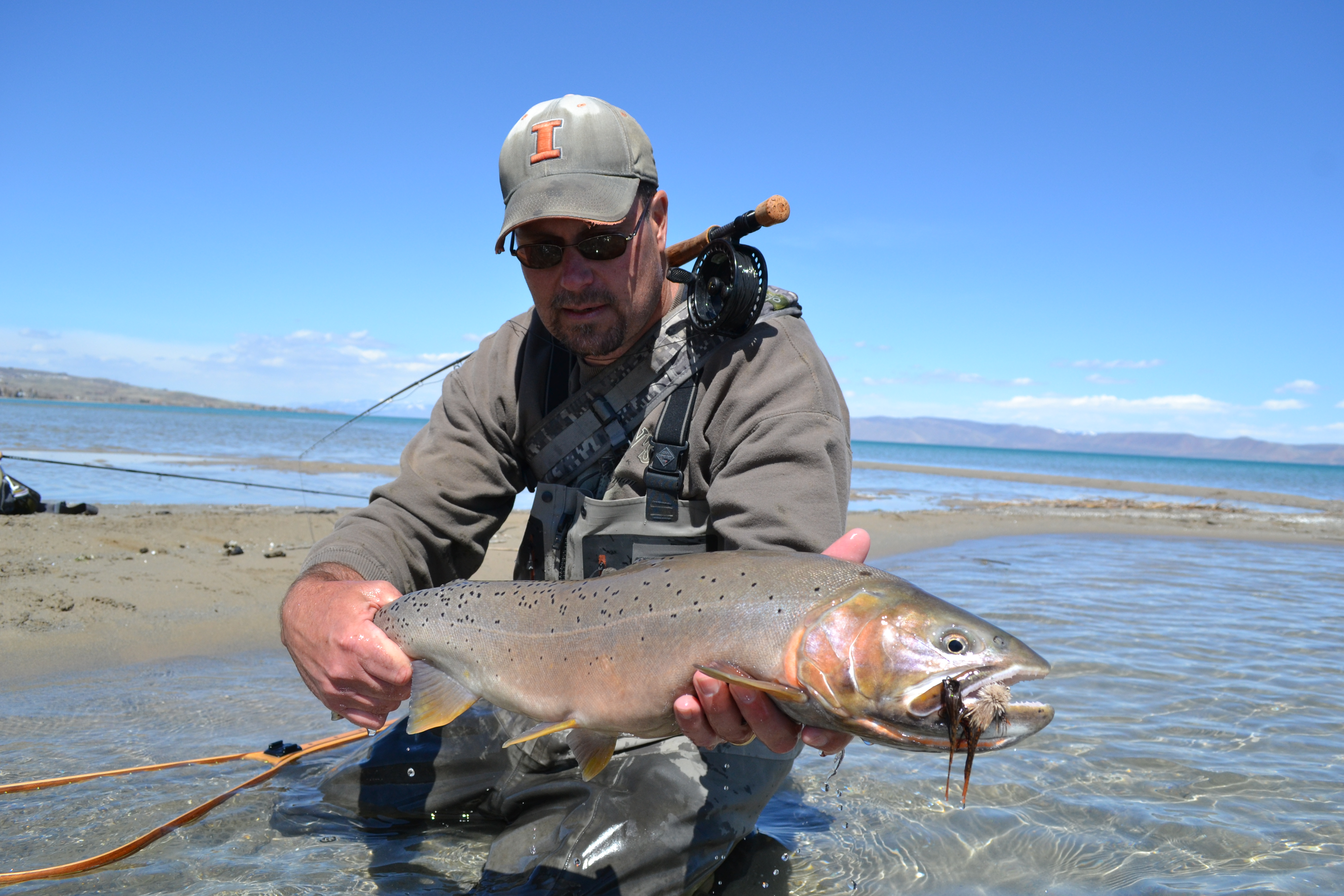 Lake Trout on the Fly, Bear Lake