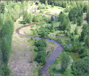 Ninemile Creek after restoration