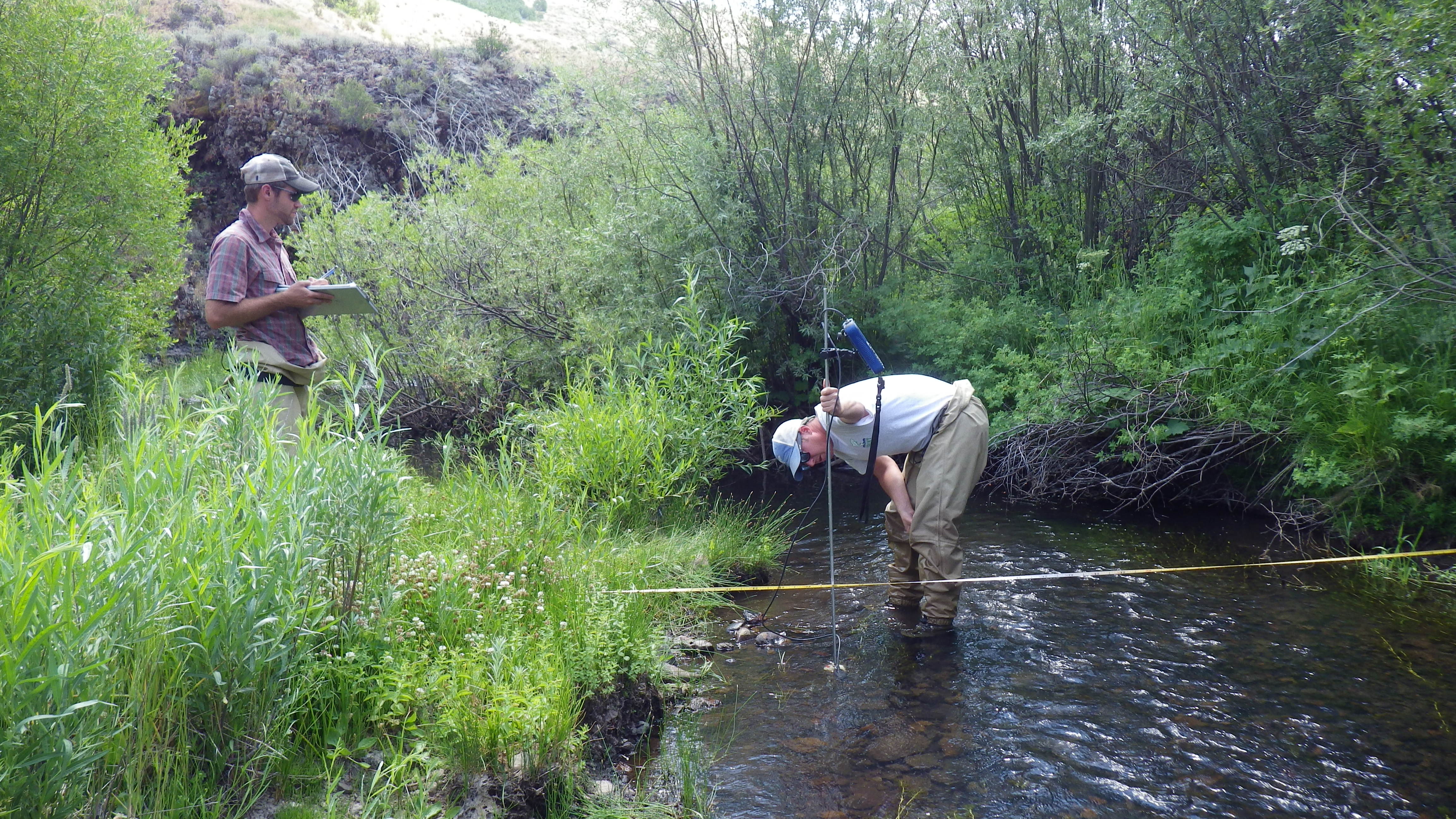 Measuring streamflows and other habitat characteristics in Goose Creek, Idaho.