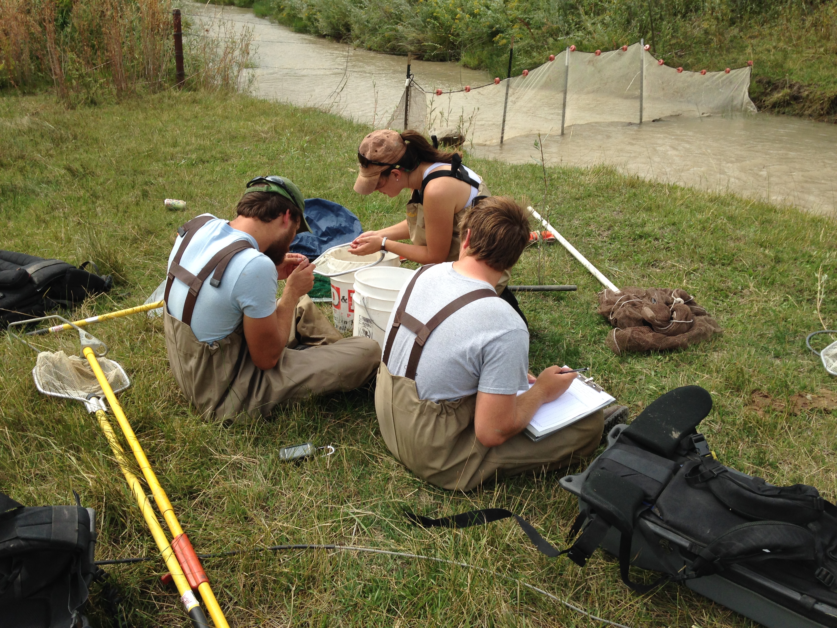 Fish response to land management.