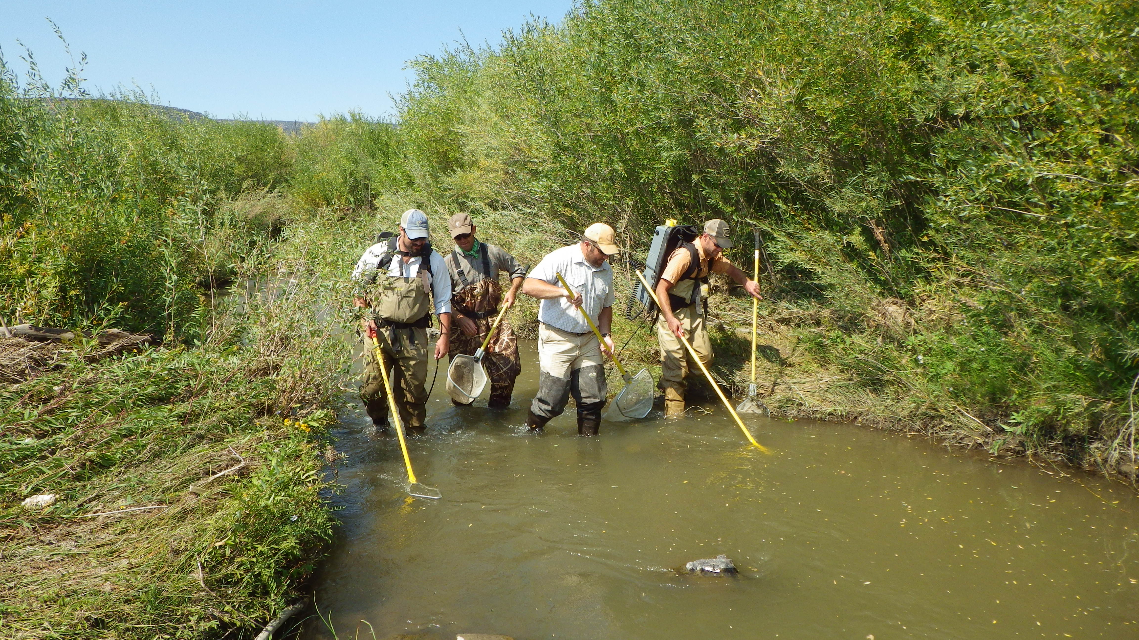 Monitoring fish populations