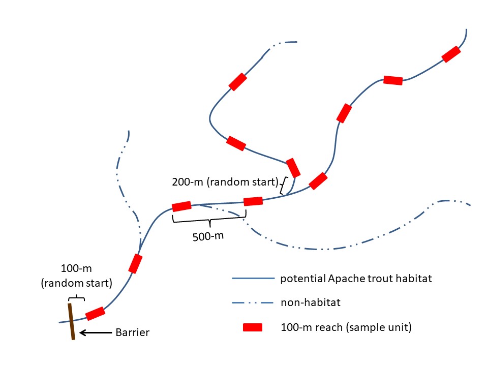 Sampling design for an Apache Trout stream.