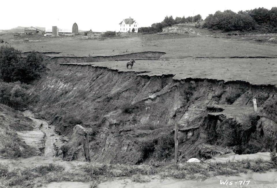 Gully erosion in the Driftless Area.