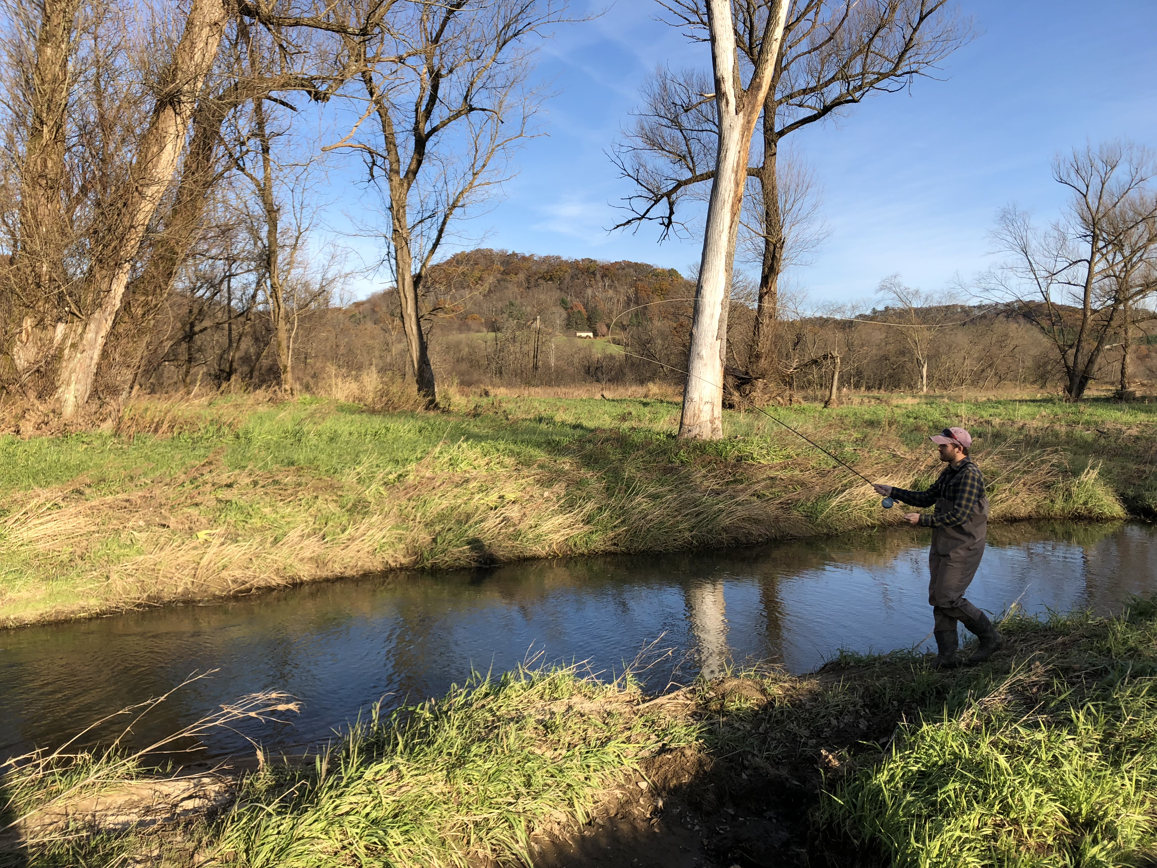 A fly fisher enjoys a restored Driftless stream.