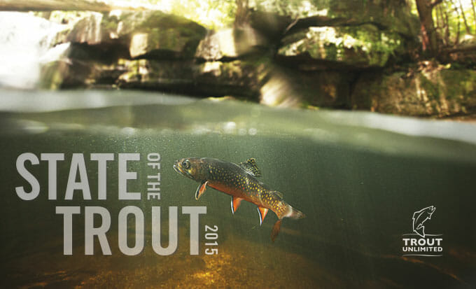 Education — Northern Virginia Chapter of Trout Unlimited