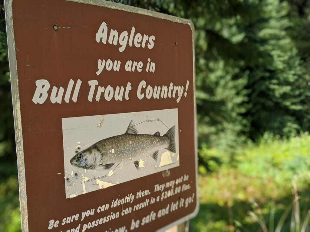 Cutthroats, Bull Trout  And Social Distance On Idaho's St. Joe