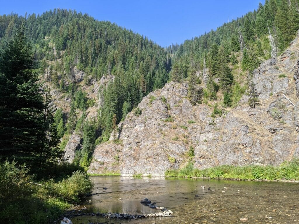 Coeur d'Alene River Full-Day Walk & Wade