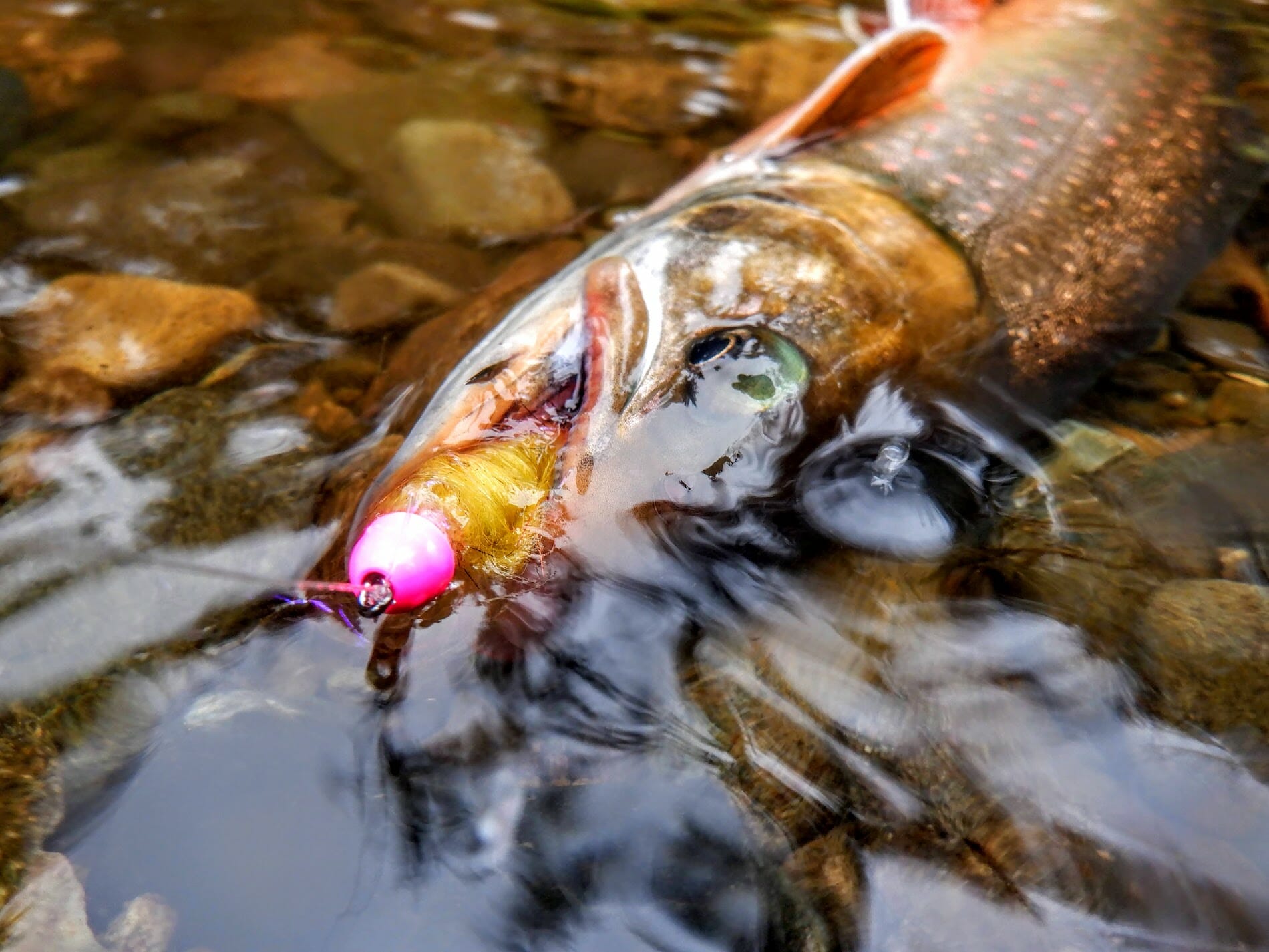 Fishing The Pegged Bead - Trout Unlimited