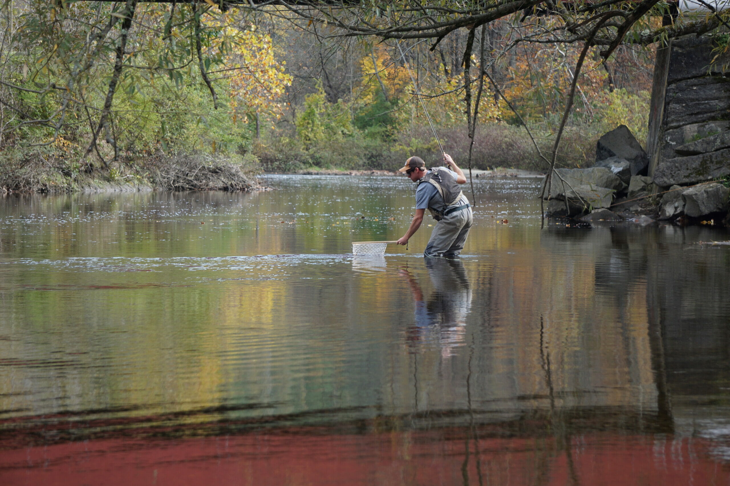 Fly Fishing Guide to the Battenkill: Complete Guide to Locations