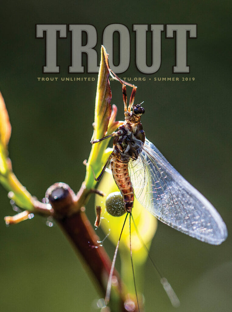 How awesome is the photo on this month's cover of Trout Magazine from  @troutunlimited ? …