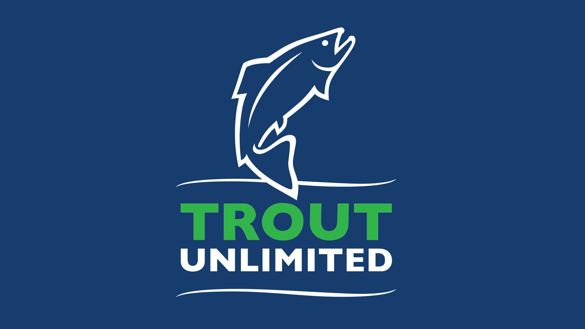 Wild Brook Trout Archives - Trout Unlimited