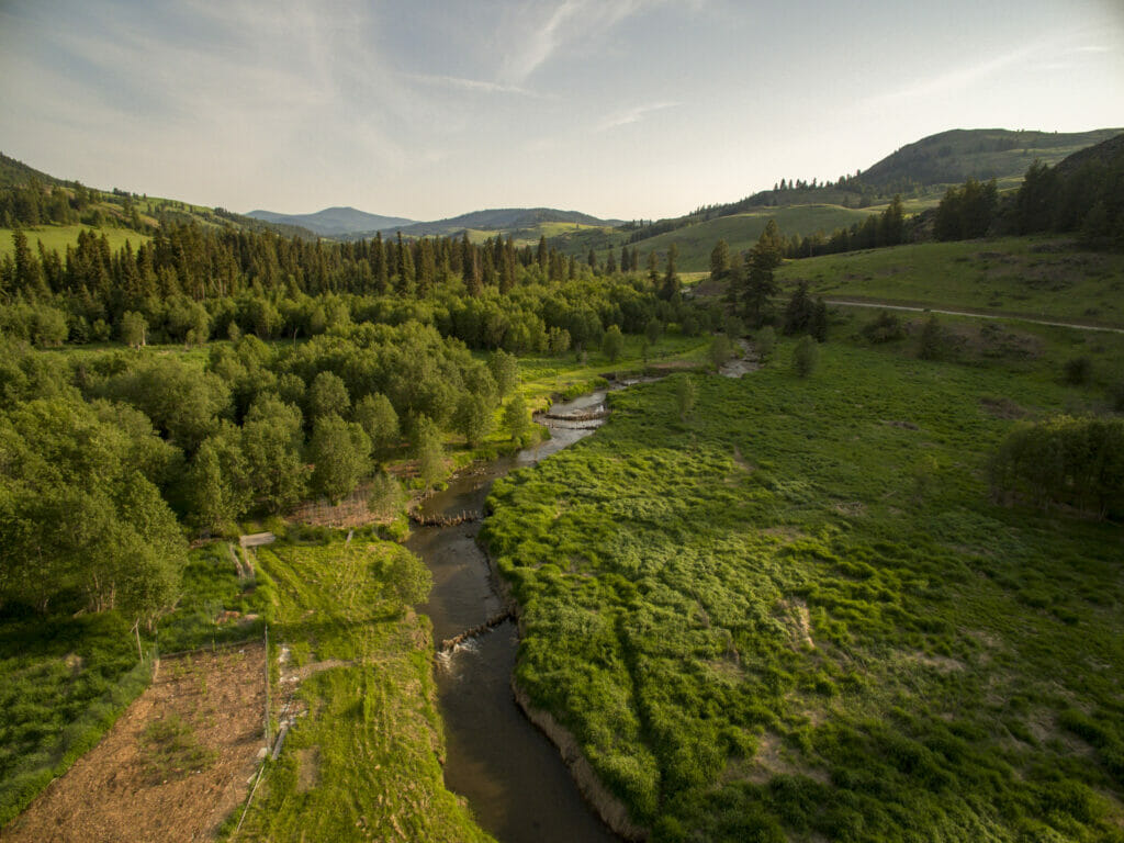 Trout Unlimited, Forest Service Launch 40 Million Initiative Trout