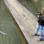 Girl on a dock with fish on end of line