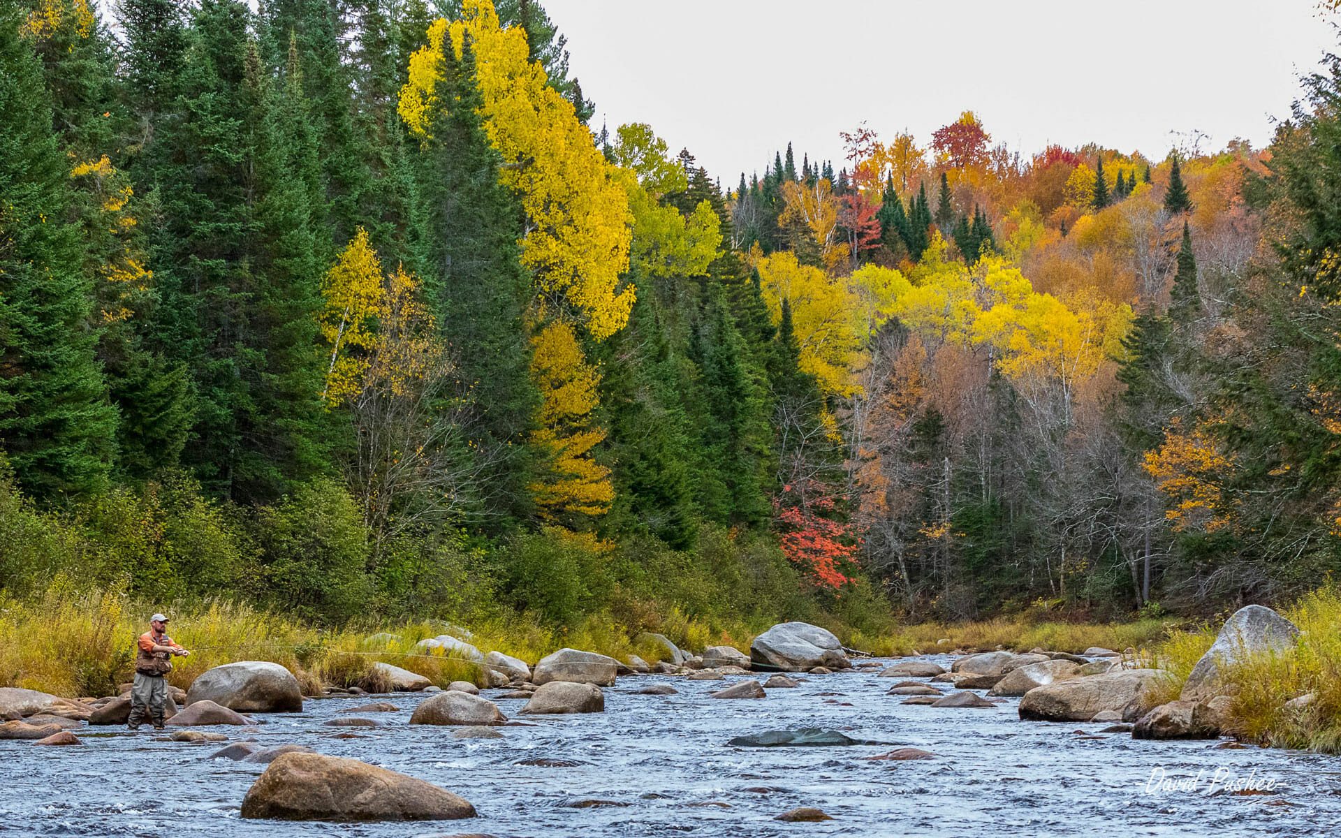 Land Conservancy Fund - Trout Unlimited