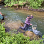 Man in river gets fish into net while his old friend watches