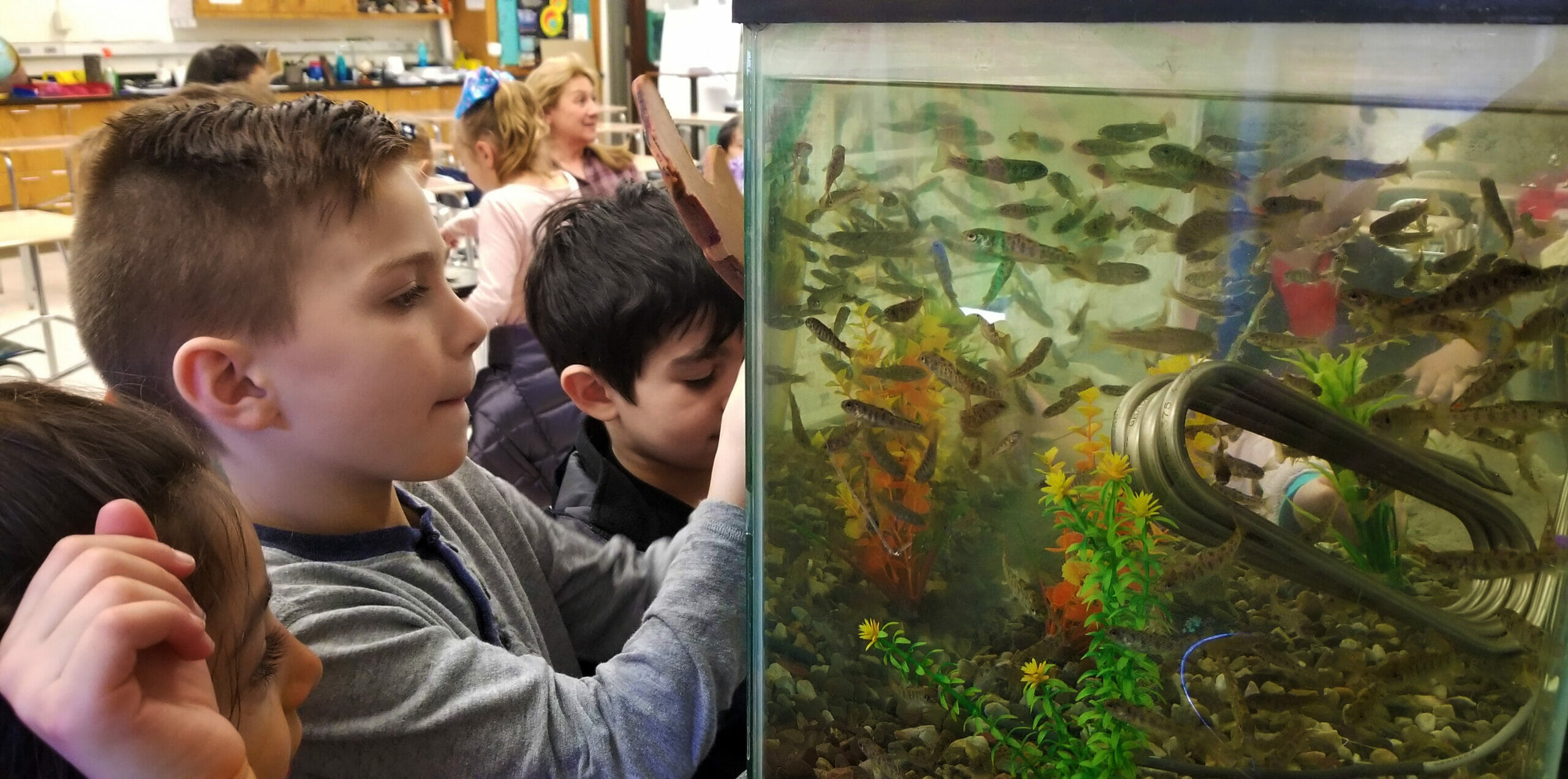 Several elementary kids look closely at a tank full of fish