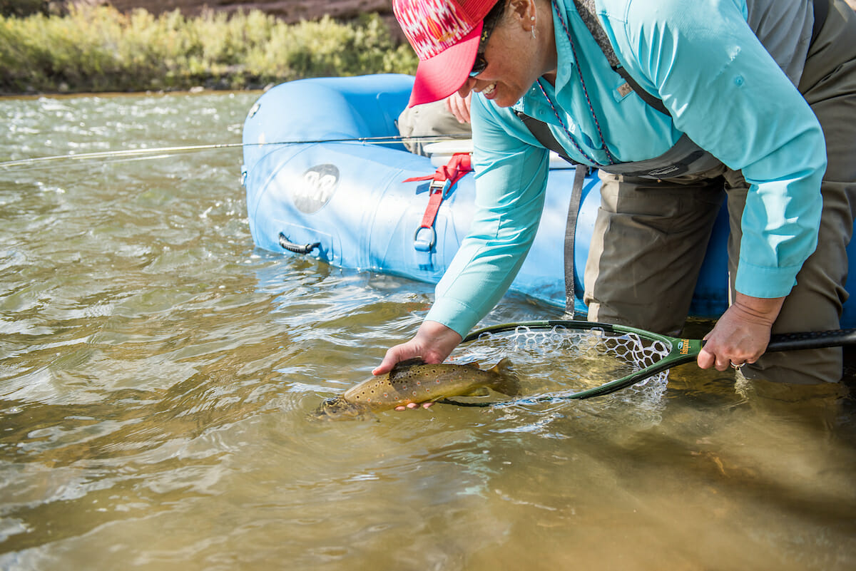 catch-and-release-the-big-picture-trout-unlimited