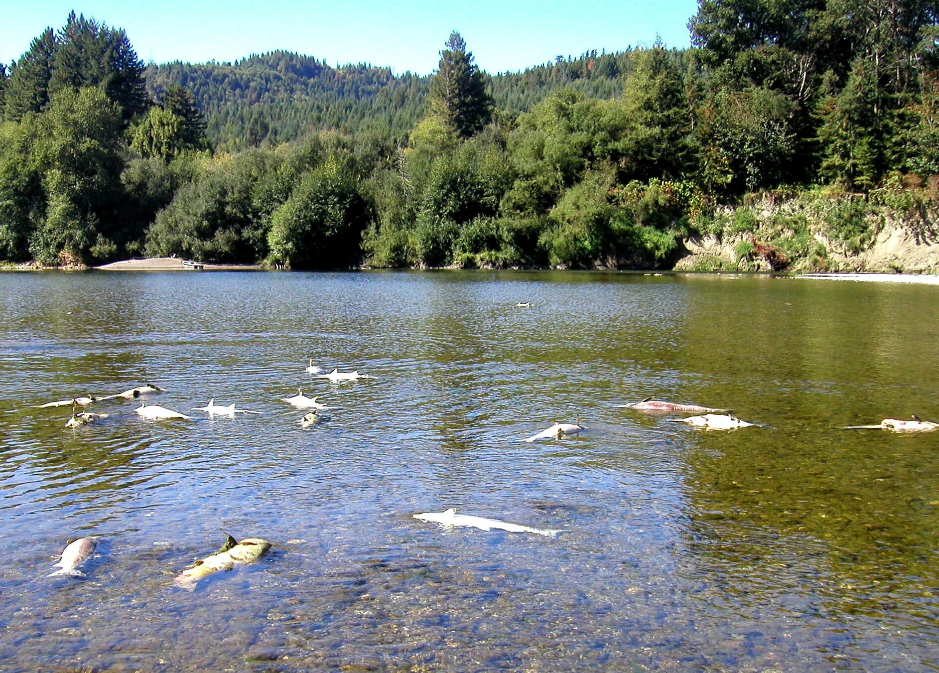 First Of The Klamath Dams Comes Down - Trout Unlimited