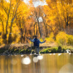 Man casting in a stream with autumn leaves in teh background
