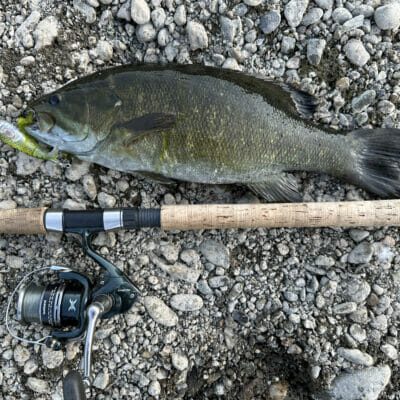 A South Umpqua bass next to a fishing pole handle
