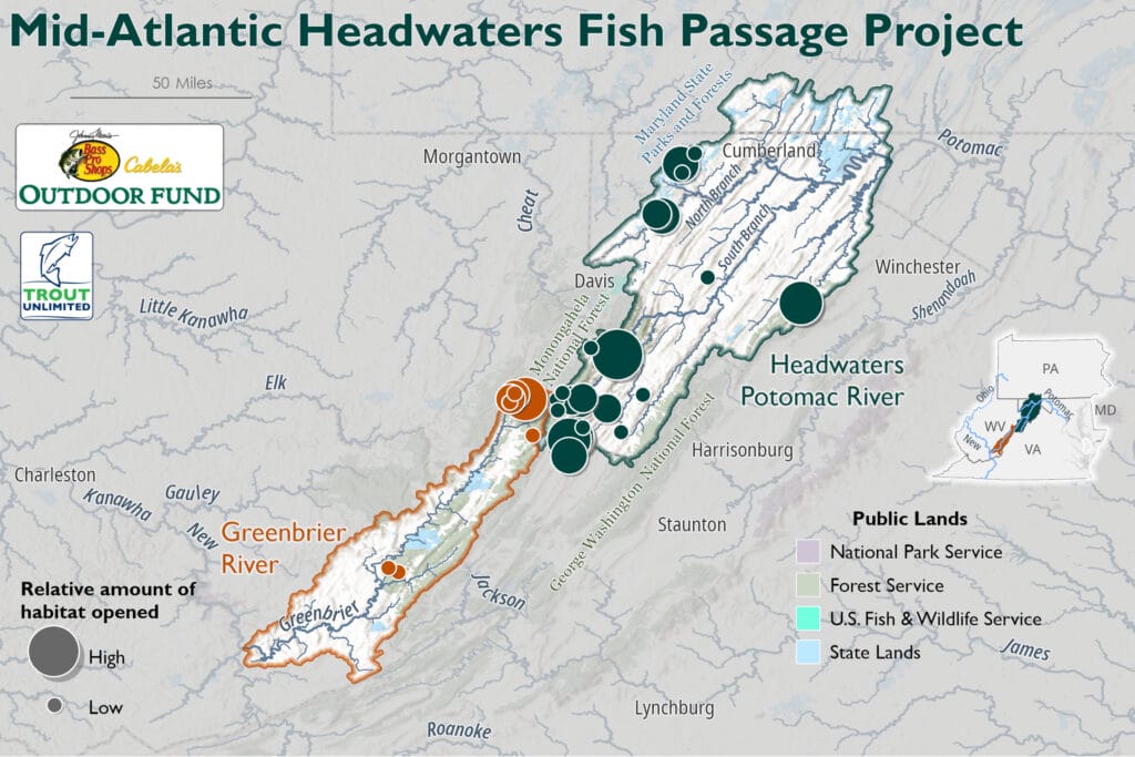 Anglers, Bass Pro Shops, and Toyota Contribute Nearly $1.6 Million to NFHP  Conservation Projects