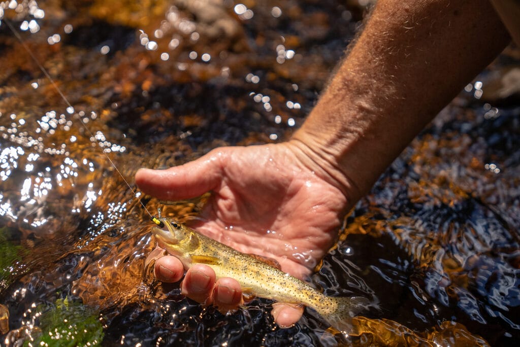 Don't Let Perfect Be The Enemy Of Good - Trout Unlimited