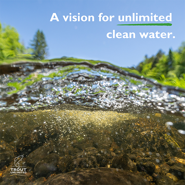 A vision for unlimited clean water